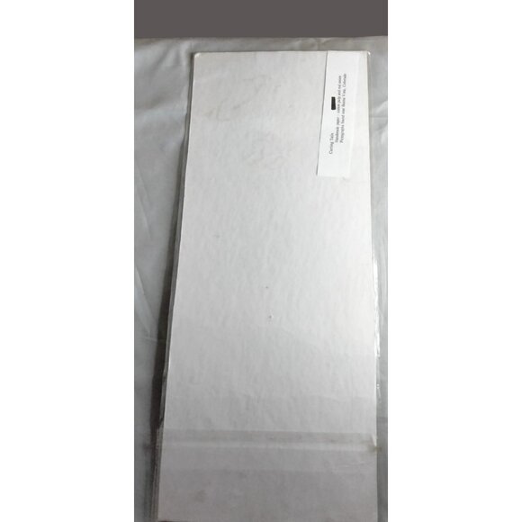 Curling Tails Pictograph Lizard Print Buena Vista Co Signed Lyn Petrillo Paper - Picture 6 of 7